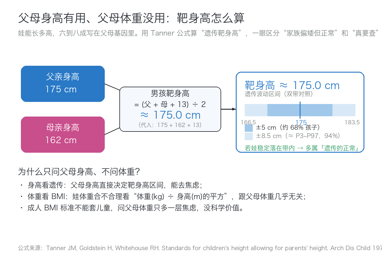 靶身高示意：175 + 162 → 男孩 (175+162+13)/2 ≈ 175 cm。内带 ±5 cm（约 68%）、外带 ±8.5 cm（≈ P3~P97，约 94%）。